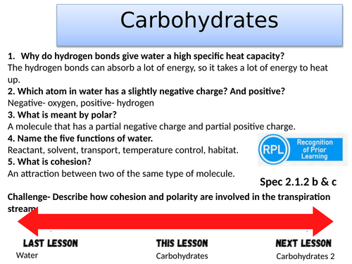 Carbohydrates lesson 1- A-level Biology OCR A (Module 2)