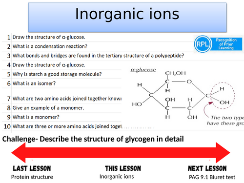 Proteins and inorganic ions- A-level Biology OCR A (Module 2)