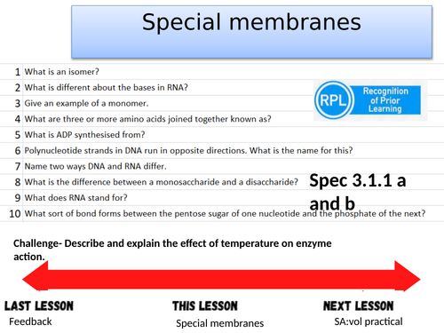 Special membranes- A-level Biology OCR A (Module 3)