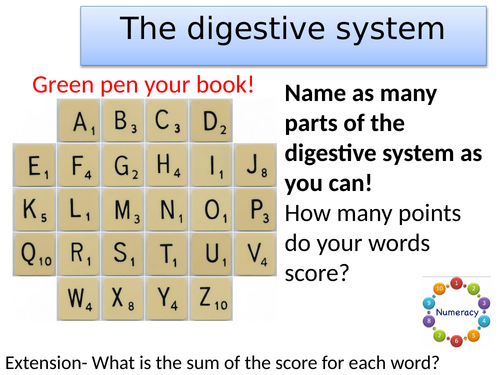 Topic B2 Digestive system story-AQA combined science trilogy/separate biology