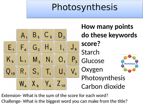 KS3 Photosynthesis