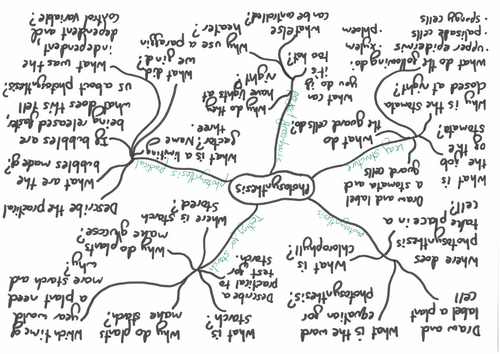 KS3 Photosynthesis mindmap revision template