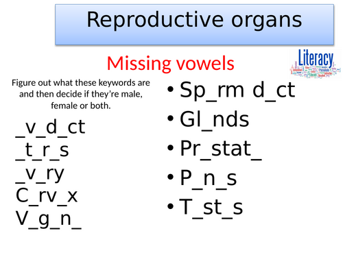 KS3 Reproductive organs