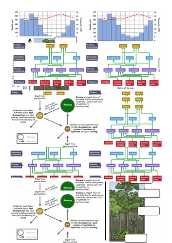 WJEC GCSE Theme 5: L10: Rainforest & Tundra Processes