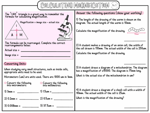 Calculating Magnification KS4 Worksheet