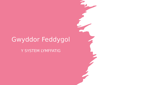 Gwyddor Feddygol - Y System Lymffatig