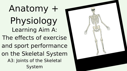 BTEC Sport Anatomy - Learning Aim A Skeletal System PowerPoint Collection