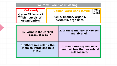 KS3- Levels of organisation- Low ability class- Edexcel