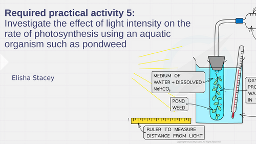 AQA GCSE Science / GCSE Biology RP5 The effect of light intensity on rate of photosynthesis