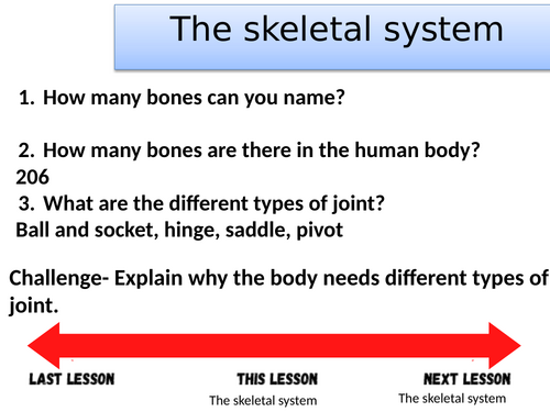 GCSE PE- AQA section 1- The skeletal system