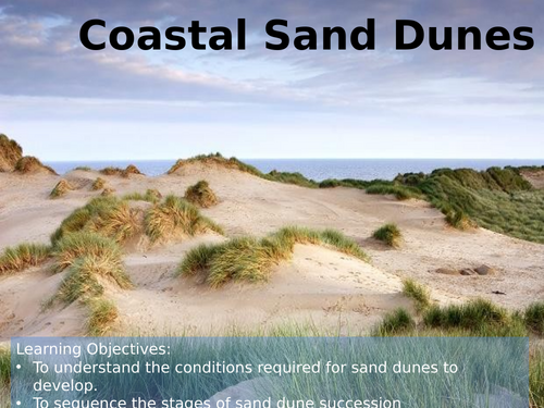 iGCSE Geography - Coasts - 9-  Coastal ecosystems - dunes