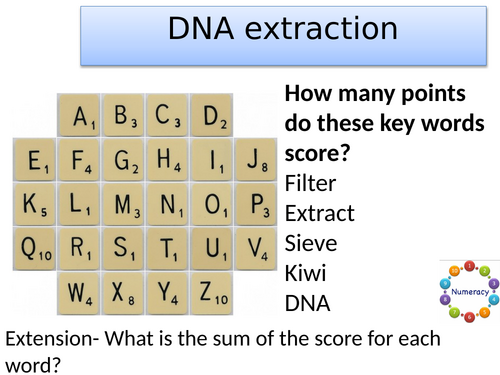 KS3 DNA extraction