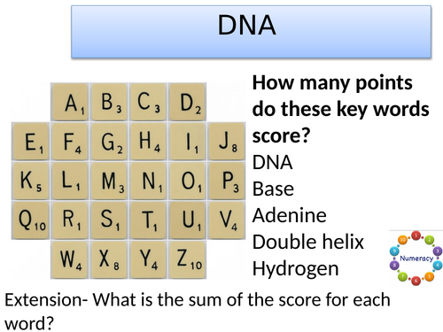 KS3 DNA structure