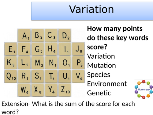 KS3 Variation