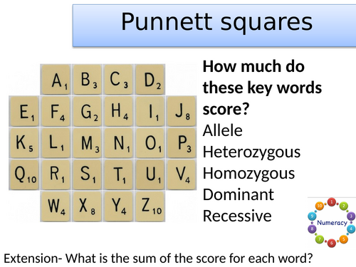 KS3- Genetic inheritance- punnet squares and pedigree diagrams