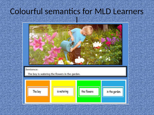 Who, What, Where - Colourful Semantics Cut-Up SentencesActivity for MLD learners