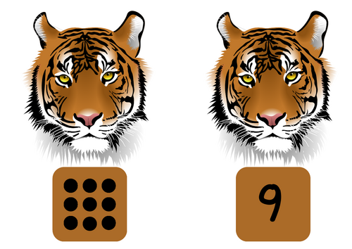 Tiger spot and number matching activity