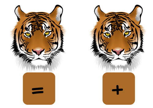 Tiger maths symbols