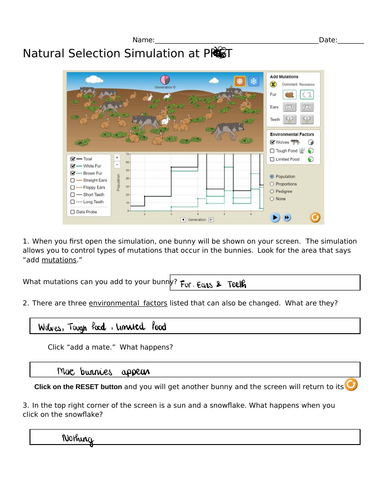 Natural Selection - mechanics and biology learning