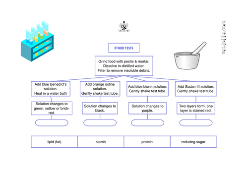 Food tests.