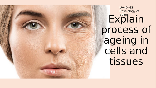 Process of ageing in cells and tissues