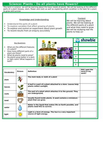 Plants - Year 1 - Week 1-6
