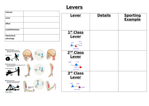 Levers, axis and planes revision map