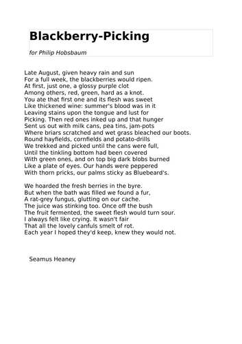 Eduqas NEW Blackberry Picking by Seamus Heaney Lesson Poetry Anthology