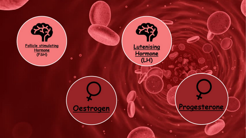 Hormones in reproduction