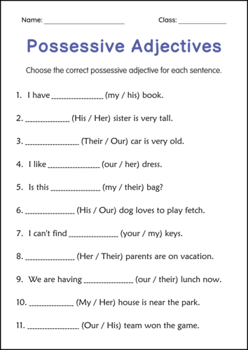 Possessive Adjectives Grammar Activity Worksheets for Grade 2, 3, 4