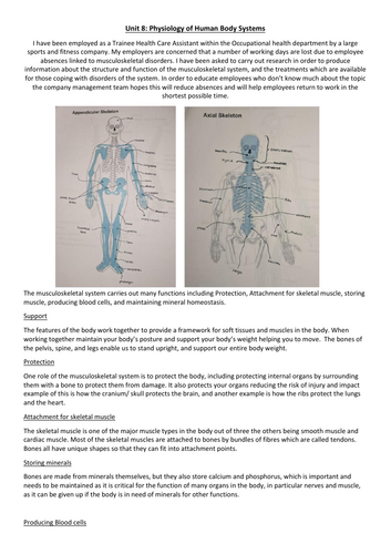 Unit 8: Physiology of Human Body Systems/ The Musculoskeletal System