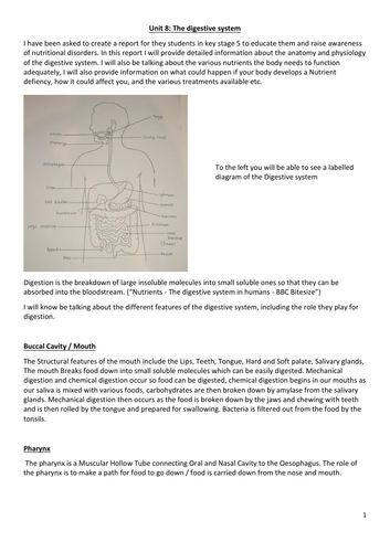 Unit 8: Physiology of Human Body Systems / The Digestive system