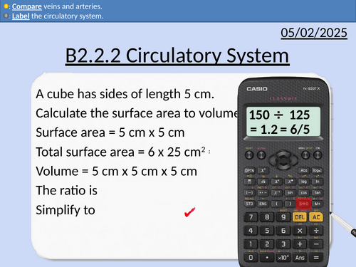 GCSE Biology: Circulatory System