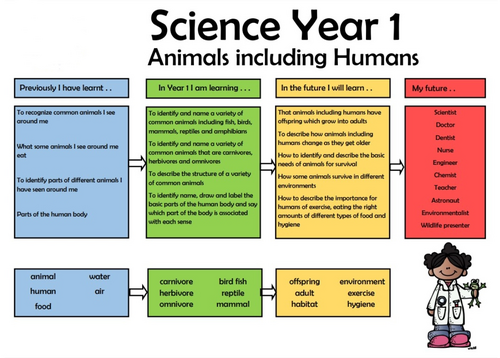 Y1 Science steps in learning