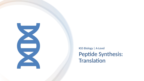 3.4.2 L3 Protein synthesis: translation