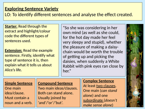 Sentence Types Literacy Y7