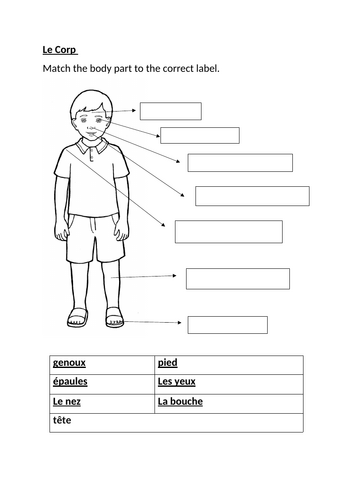 Body Parts in French