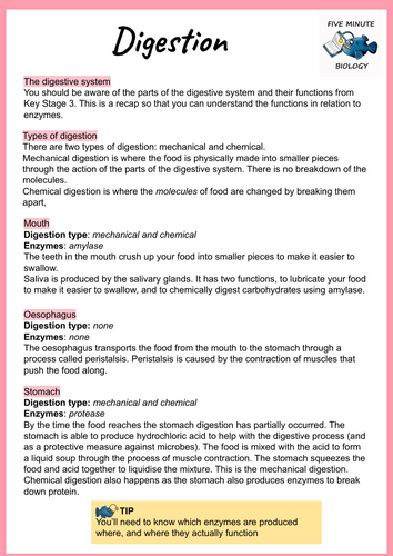 GCSE AQA Biology Triple Science Digestion revision sheets Higher Tier (Grade 6-9)