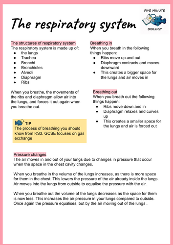 GCSE AQA Biology Triple Science Respiratory System revision sheets Higher Tier (Grade 6-9)