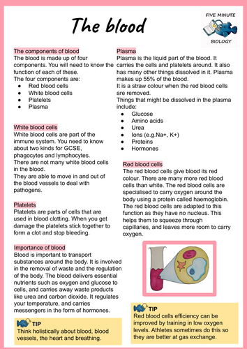 GCSE AQA Biology Triple Science Blood revision sheets Higher Tier (Grade 6-9)