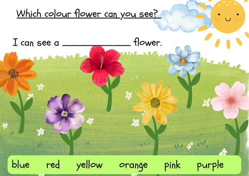 Which colour flower can you see? Sentence writing template