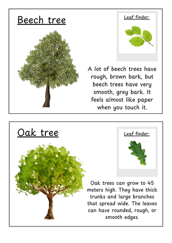 Tree Fact Files