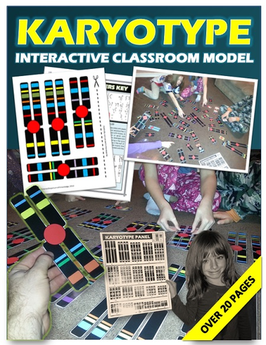 The Chromosome Challenge: Interactive Karyotyping Activity