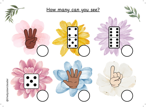 Maths - Flower Theme Subitizing -  How many can you see?