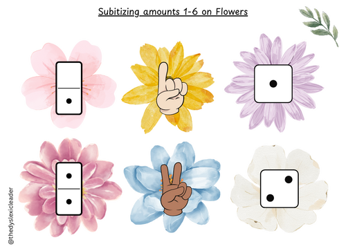 Maths - Subitizing Flowers 1-6