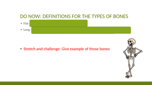 Function of the Skeleton - GCSE PE