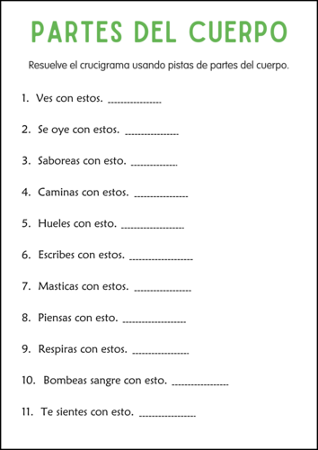 Human Body Parts Worksheets in Spanish - Hoja de Trabajo de Partes del Cuerpo