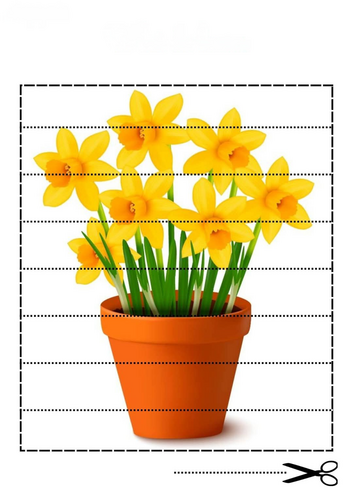 Daffodils puzzle