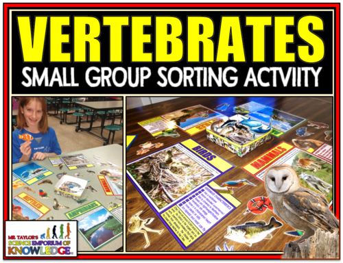 Animal Classification: Vertebrate Sorting Activity & Lab Activity Bundle