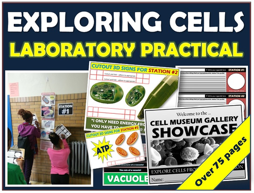 The 3D Cell Museum: A Multi-Station Lab for Exploring Cells